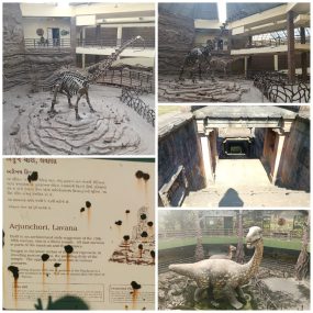 WhatsApp Image 2025-12-17 at 7.23.59 AM