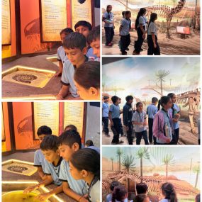 WhatsApp Image 2025-12-17 at 7.24.00 AM