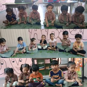 WhatsApp Image 2026-07-08 at 1.35.58 PM (2)